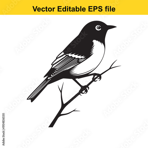 Black Bird Silhouette on Branch Vector Illustration