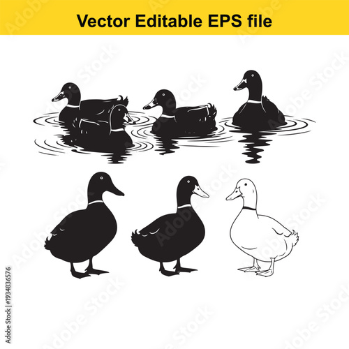 Duck Silhouette Vector Illustrations Set on White Background
