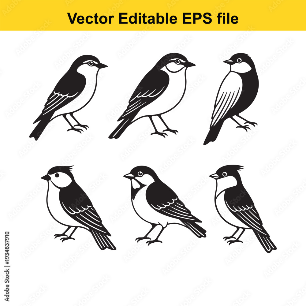 Fototapeta premium Black and White Bird Illustrations Set on White Background