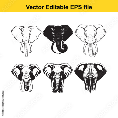 Elephant Head Illustrations Set Vector Graphics Collection