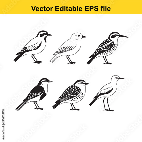 Bird Illustrations Set with Various Patterns - Vector Graphics