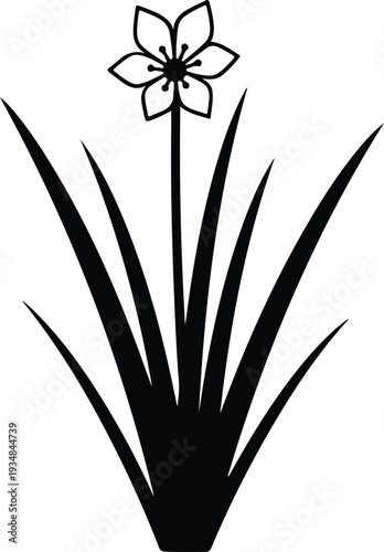 Silhouette of a flowering plant with sharp long leaves vector illustration