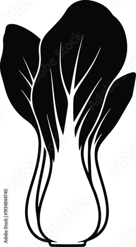 Silhouette of a fresh bok choy cabbage for healthy cooking vector illustration