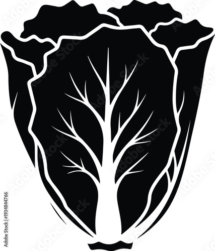 Silhouette of a fresh Chinese napa cabbage for cooking vector illustration
