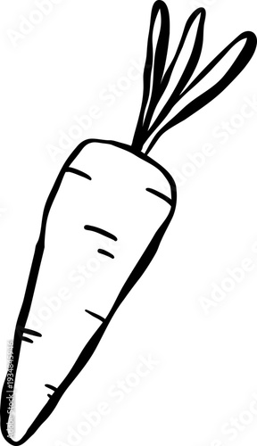 whimsical carrot Outline hand drawn