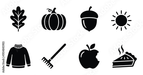 Autumn symbols and fall related elements isolated on transparent background for seasonal illustrations