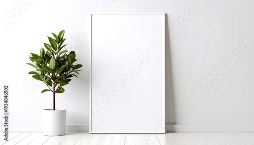 White framed canvas, minimalist, plant