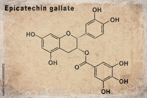 Epicatechin gallate, Structural chemical formula
