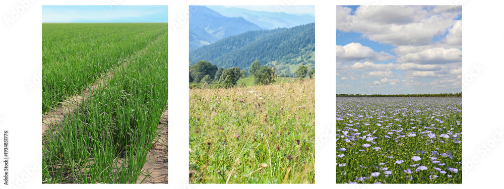 Fototapeta premium Set of fields under beautiful sky. Nature landscape
