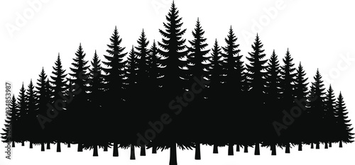 Black and white evergreen pine forest silhouette vector illustration isolated on white background for nature landscape design and mountain scenery
