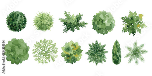 Collection of top view trees and shrubs for architectural landscape design