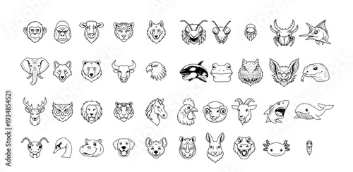 Cartoon Icon Animal Head Collection 40 Model Simple Digital Design