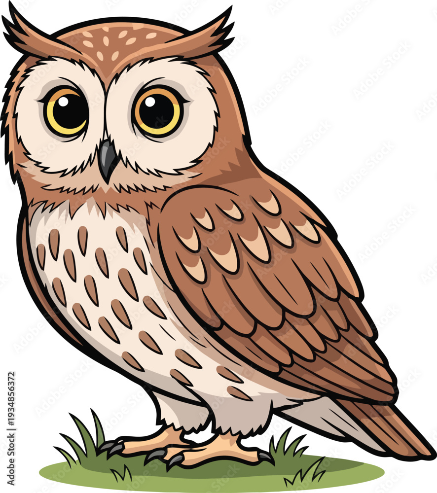 Obraz premium Brown Owl Standing on Green Grass.