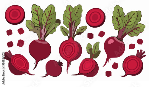 Vibrant Red Beetroot Set Whole Sliced and Diced Vegetable Vector