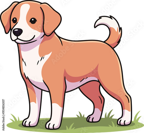 Illustration of a brown and white dog.