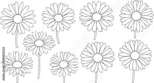 A simple line drawing of multiple flowers on stems