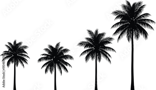 Set of black palm tree silhouettes in different heights and sizes on white background for tropical summer travel and vacation designs