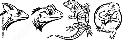 Set of lizard and iguana head and body vector illustrations in tribal black line art style for logos tattoos and mascot branding