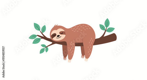 Cute brown sloth peacefully sleeping while hanging from a tree branch with green leaves on a plain white background.