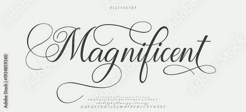 Magnificent Romantic Script Serif Font Vector with Swash for Wedding and Elegant Projects