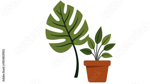 Potted Houseplant with Large Green Leaf Illustration