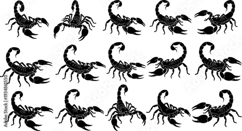 Scorpion silhouettes vector illustration set, dangerous desert arthropods in multiple poses, black toxic animal icons collection for wildlife, horror, tattoo, warning design