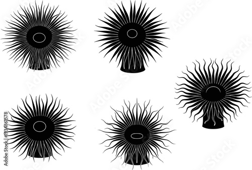 Sea anemone silhouette vector set, marine life collection illustration, underwater coral reef organisms, aquatic wildlife shapes isolated on white background