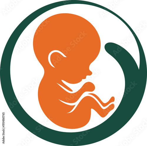 Orange silhouette of a fetus in a green circular frame isolated on white background
