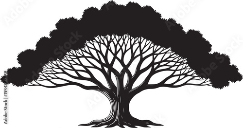 Black Silhouette of a Tree with Branches and Roots