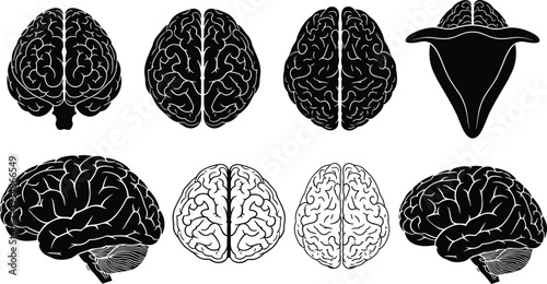 Human brain anatomy silhouette set with multiple top and side views isolated on white background