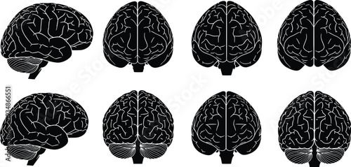 Human Brain Anatomy Silhouette Set Front Side and Top Views Medical Vector Illustration Collection