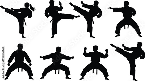 Karate Martial Arts Silhouette Set with High Kick and Fighting Stance Vector Collection