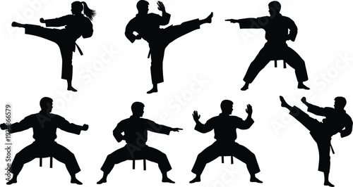 Karate Silhouette Set Martial Arts High Kick and Fighting Stance Vector Collection