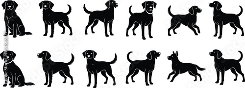 Large set of sixteen black Labrador Retriever dog silhouettes in multiple poses sitting standing walking running playful, isolated vector illustrations for pet projects.