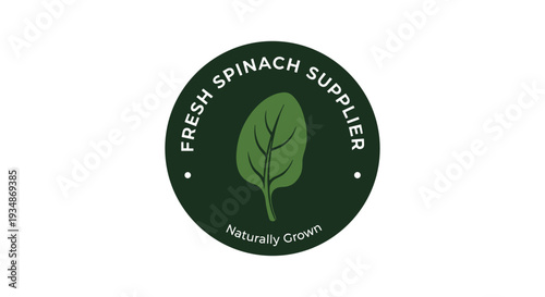 Fresh Spinach Supplier Green Leaf Logo.