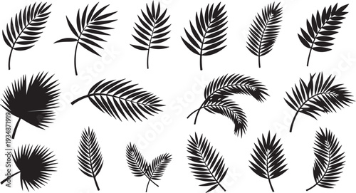Collection of various black palm and feather illustrations