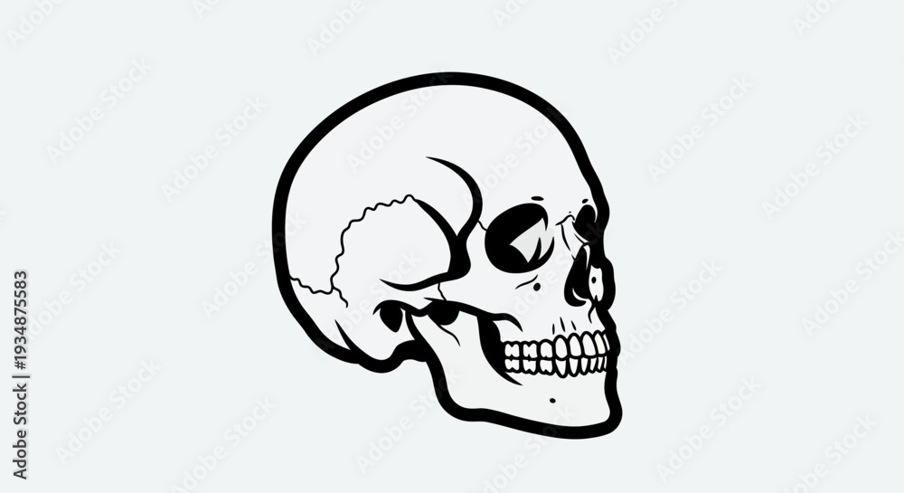 Obraz premium Simple Line Drawing of Human Skull.