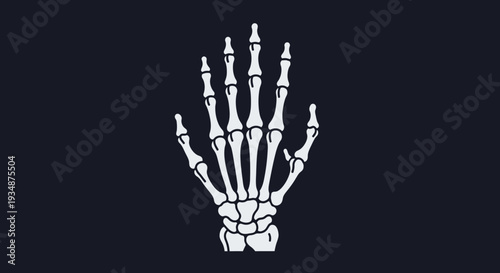 Human Hand Skeleton Bones Anatomy Illustration.