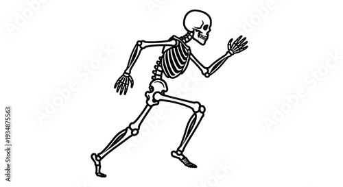 Human Skeleton Running Illustration Black White.
