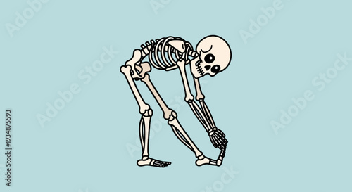 Skeleton Bending Over with Skull Downward.