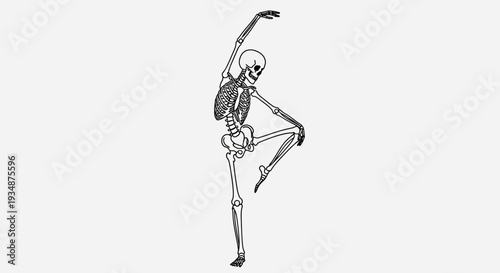 Skeleton Dancing in Dynamic Pose.