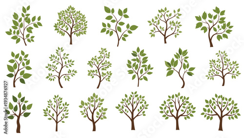 Assorted green leaf trees and shrubs icons in different shapes and sizes for landscape architecture, gardening, and environmental design.