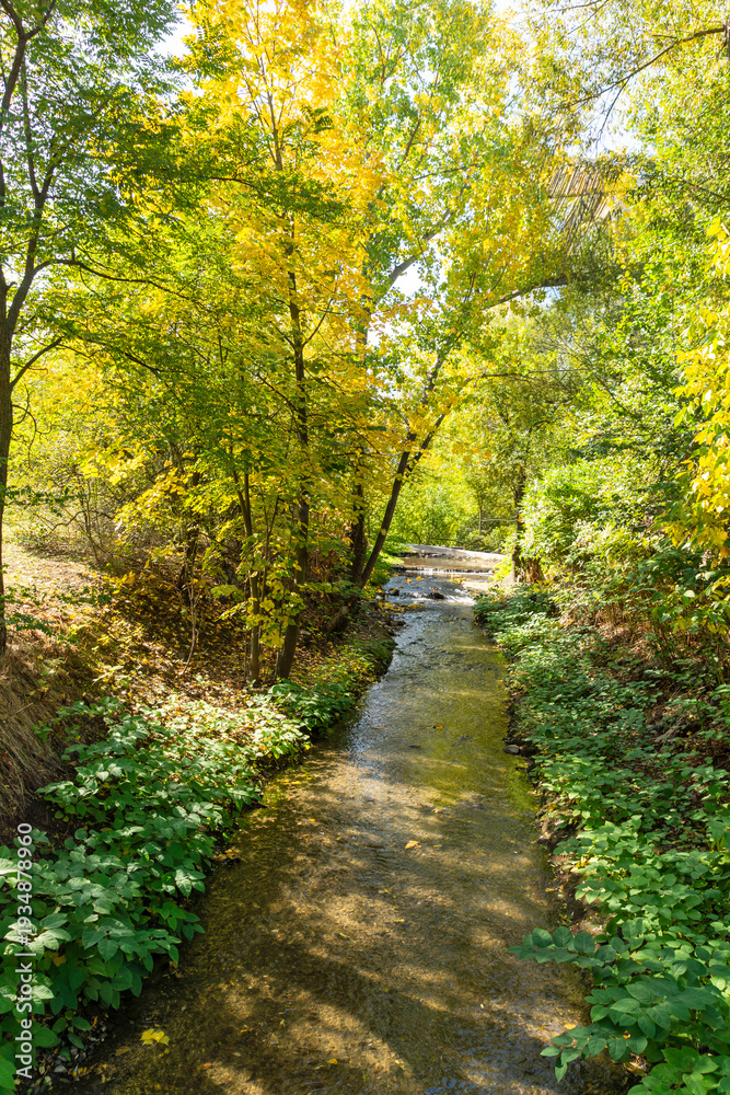 Obraz premium Autumn Landscape of South Park in city of Sofia, Bulgaria