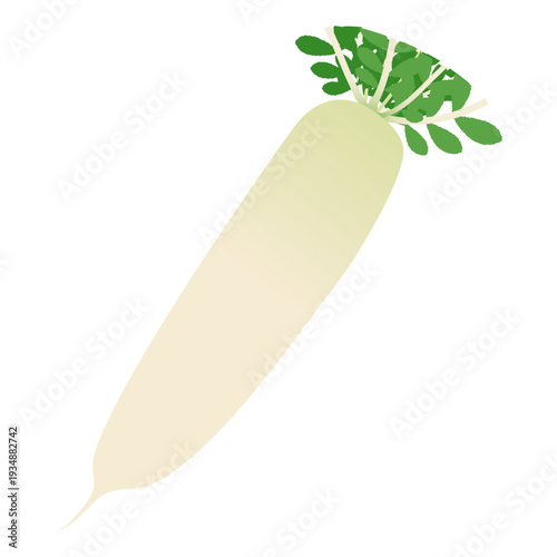 大根のベクターアイコン、葉物野菜のイラスト素材