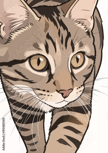 A cat walks forward with a clear focus, its eyes looking straight ahead while its body remains in motion.