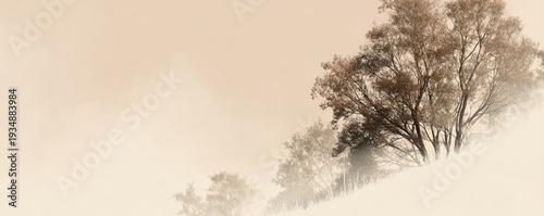 Misty sepia landscape with trees on a hillside. Subtle textures, soft light, evokes tranquility