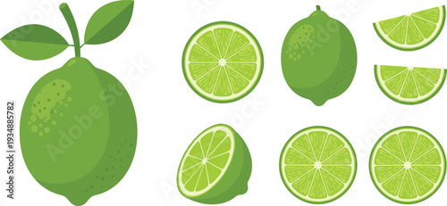 Fresh Green Lime Citrus Illustration Set Featuring Whole Fruit Half Slices and Wedges for Food and Beverage Design