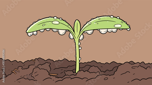 A small green sprout emerges from the soil with water droplets on its leaves. It stands tall in a bright space.