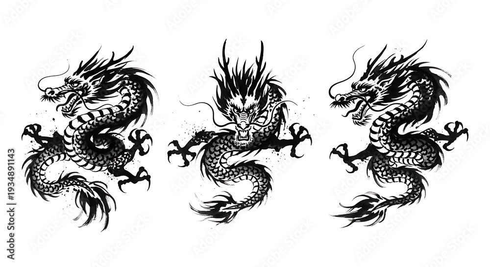 Fototapeta premium Three stylized grayscale illustrations of majestic dragons in dynamic poses on a white background