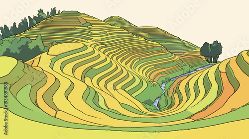 Rice fields form layers on rolling hills with a stream running through the landscape. Green trees are nearby under a bright sky.